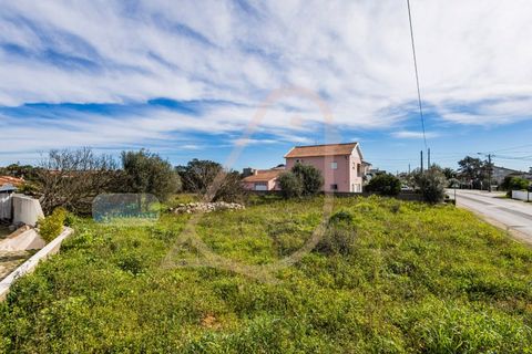 Terra a Fatima, Santarem, Fatima - € 150.000 | Ref: CV11001-199 - foto 5