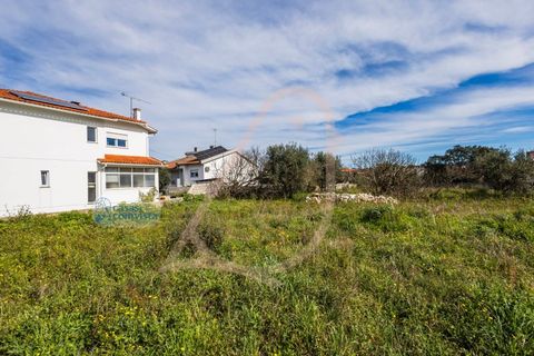 Terra a Fatima, Santarem, Fatima - € 150.000 | Ref: CV11001-199 - foto 6