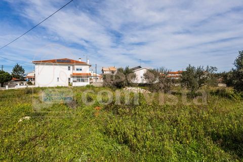 Terra a Fatima, Santarem, Fatima - € 150.000 | Ref: CV11001-199 - foto 7