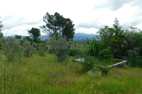 Helårsgrund i Seia, Guarda, Seia - € 40.000 | Ref: 382240067 - foto 2