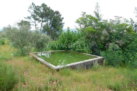 Helårsgrund i Seia, Guarda, Seia - € 40.000 | Ref: 382240067 - foto 3