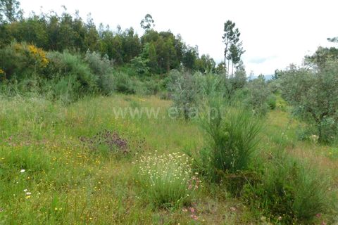 Helårsgrund i Seia, Guarda, Seia - € 40.000 | Ref: 382240067 - foto 4