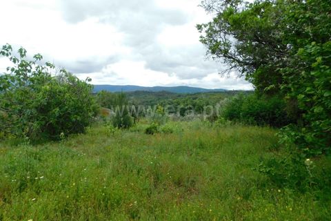Helårsgrund i Seia, Guarda, Seia - € 40.000 | Ref: 382240067 - foto 5