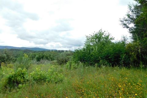 Helårsgrund i Seia, Guarda, Seia - € 40.000 | Ref: 382240067 - foto 6