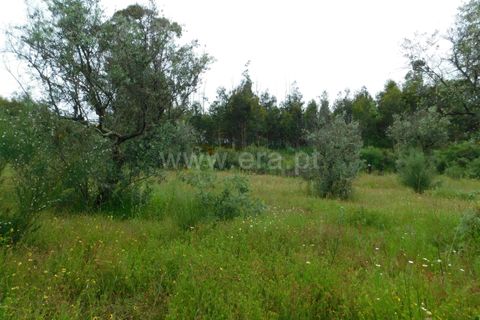 Helårsgrund i Seia, Guarda, Seia - € 40.000 | Ref: 382240067 - foto 7