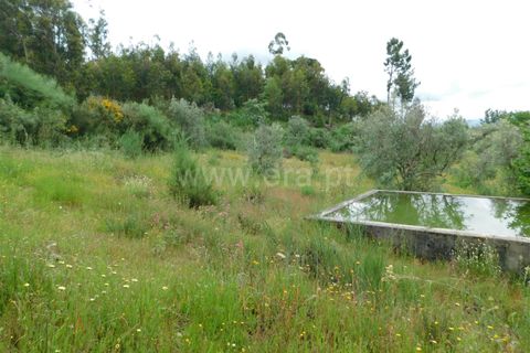 Helårsgrund i Seia, Guarda, Seia - € 40.000 | Ref: 382240067 - foto 8