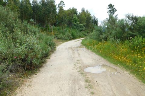 Helårsgrund i Seia, Guarda, Seia - € 40.000 | Ref: 382240067 - foto 10