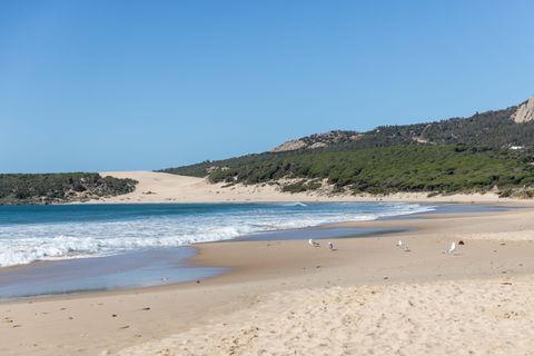 Helårsgrund i Tarifa, Cadiz, Tarifa - € 600.000 | Ref: STRAND6532 - foto 5