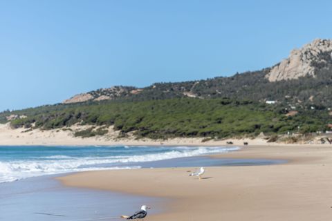 Helårsgrund i Tarifa, Cadiz, Tarifa - € 600.000 | Ref: STRAND6532 - foto 10