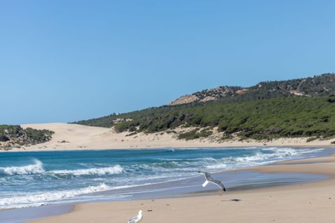 Helårsgrund i Tarifa, Cadiz, Tarifa - € 600.000 | Ref: STRAND6532 - foto 11