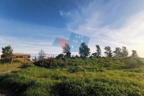 Grond in Beja, Beja, Beja - € 280.000 | Ref: 2022047 - foto 1