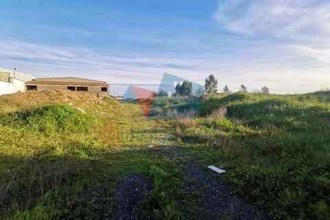 Grond in Beja, Beja, Beja - € 280.000 | Ref: 2022047 - foto 2
