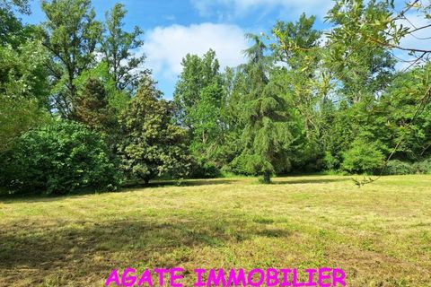 Villa i Captieux, Gironde, Captieux - € 416.000 | Ref: U_9736 - foto 2
