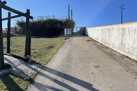 Farm i Mafra, Lisbon, Mafra - € 875.000 | Ref: MAS_309 - foto 19