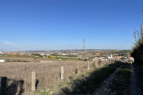 Farm i Mafra, Lisbon, Mafra - € 875.000 | Ref: MAS_309 - foto 20