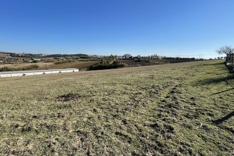 Farm i Mafra, Lisbon, Mafra - € 875.000 | Ref: MAS_309 - foto 21