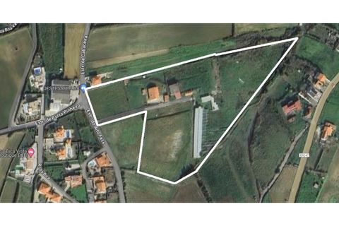 Farm i Mafra, Lisbon, Mafra - € 875.000 | Ref: MAS_309 - foto 23