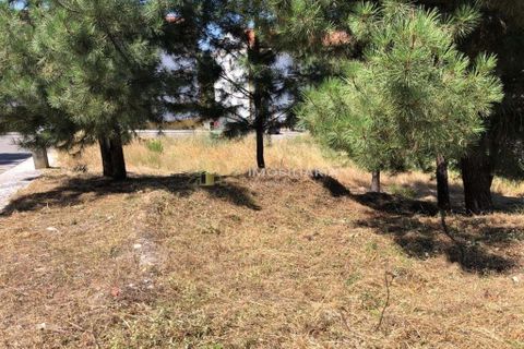 Helårsgrund i Abrantes, Santarem, Abrantes - € 33.000 | Ref: TER/0760 - foto 2