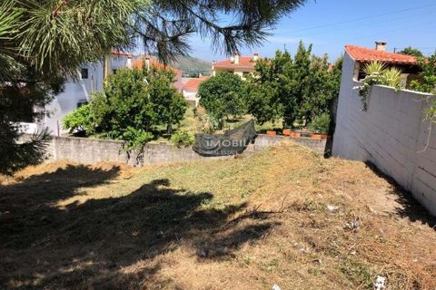 Helårsgrund i Abrantes, Santarem, Abrantes - € 33.000 | Ref: TER/0760 - foto 4
