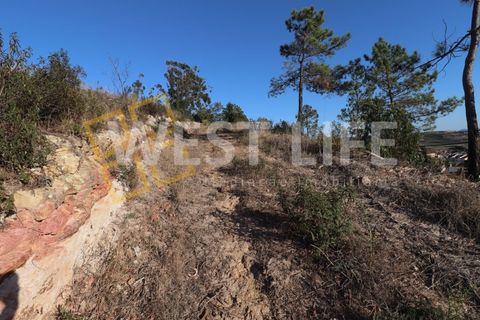 Helårsgrund i Torres Vedras, Lisbon, Torres Vedras - € 106.000 | Ref: 4925WT - foto 4