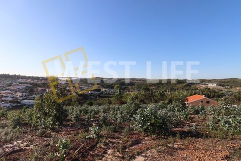 Helårsgrund i Torres Vedras, Lisbon, Torres Vedras - € 106.000 | Ref: 4925WT - foto 6