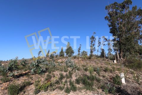 Helårsgrund i Torres Vedras, Lisbon, Torres Vedras - € 106.000 | Ref: 4925WT - foto 7