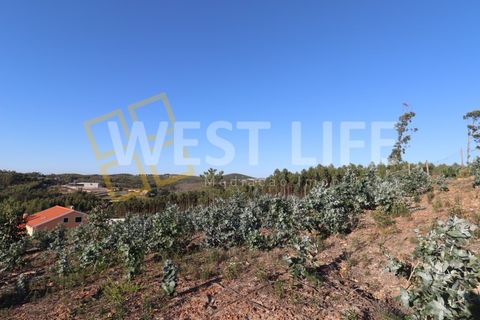 Helårsgrund i Torres Vedras, Lisbon, Torres Vedras - € 106.000 | Ref: 4925WT - foto 10