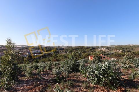 Helårsgrund i Torres Vedras, Lisbon, Torres Vedras - € 106.000 | Ref: 4925WT - foto 12