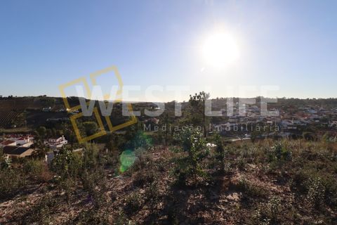 Helårsgrund i Torres Vedras, Lisbon, Torres Vedras - € 106.000 | Ref: 4925WT - foto 13