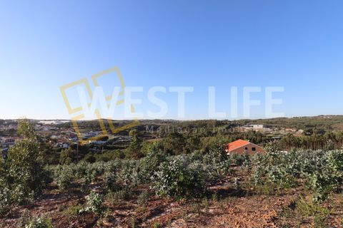 Helårsgrund i Torres Vedras, Lisbon, Torres Vedras - € 106.000 | Ref: 4925WT - foto 1