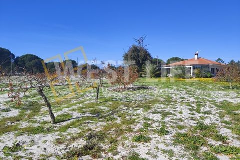 Landejendom i Torrao, Setubal, Torrao - € 1.490.000 | Ref: 5007WT - foto 3