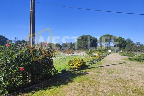 Landejendom i Torrao, Setubal, Torrao - € 1.490.000 | Ref: 5007WT - foto 6
