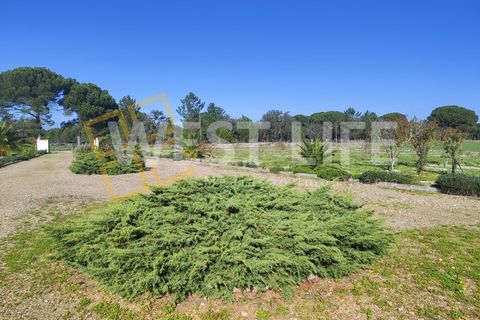 Landejendom i Torrao, Setubal, Torrao - € 1.490.000 | Ref: 5007WT - foto 7