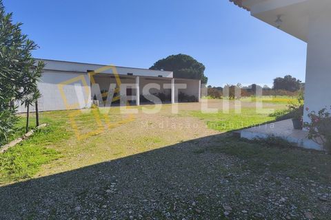 Landejendom i Torrao, Setubal, Torrao - € 1.490.000 | Ref: 5007WT - foto 8