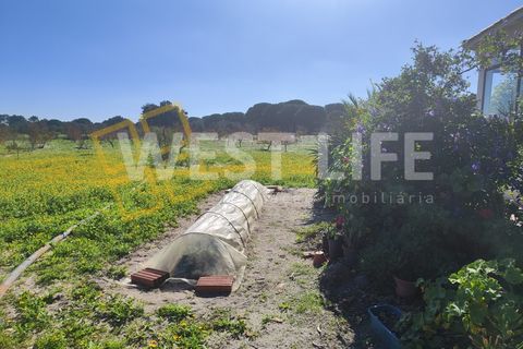 Landejendom i Torrao, Setubal, Torrao - € 1.490.000 | Ref: 5007WT - foto 10