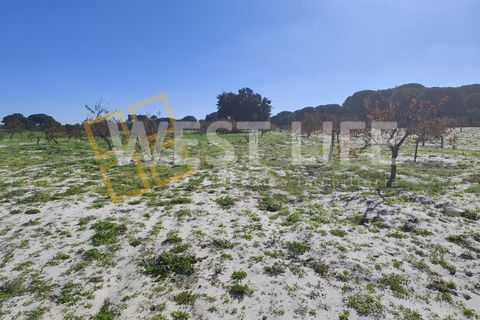 Landejendom i Torrao, Setubal, Torrao - € 1.490.000 | Ref: 5007WT - foto 11