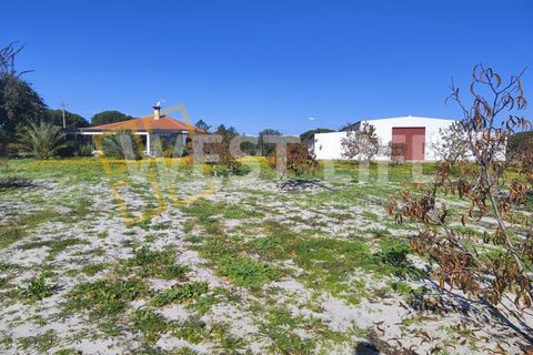 Landejendom i Torrao, Setubal, Torrao - € 1.490.000 | Ref: 5007WT - foto 12