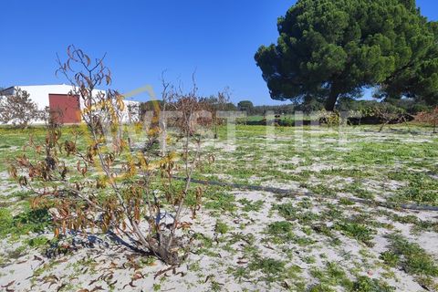 Landejendom i Torrao, Setubal, Torrao - € 1.490.000 | Ref: 5007WT - foto 13