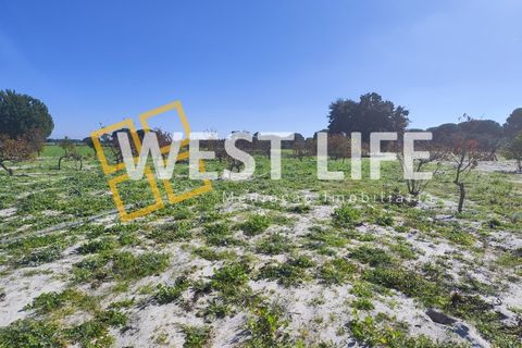 Landejendom i Torrao, Setubal, Torrao - € 1.490.000 | Ref: 5007WT - foto 16
