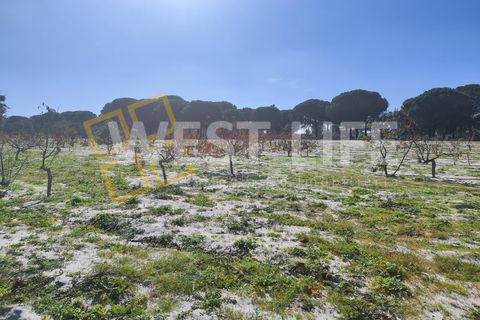 Landejendom i Torrao, Setubal, Torrao - € 1.490.000 | Ref: 5007WT - foto 17