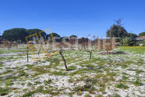 Landejendom i Torrao, Setubal, Torrao - € 1.490.000 | Ref: 5007WT - foto 21