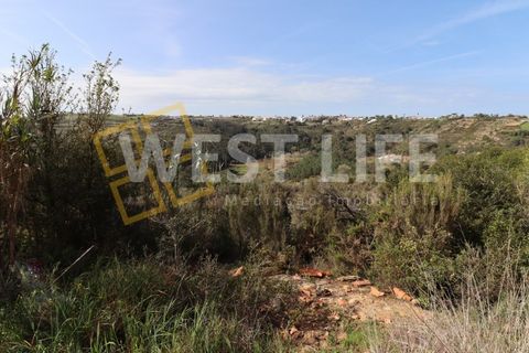 Helårsgrund i Mafra, Lisbon, Mafra - € 40.000 | Ref: 4198WT - foto 4