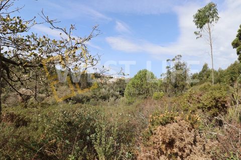 Helårsgrund i Mafra, Lisbon, Mafra - € 40.000 | Ref: 4198WT - foto 5