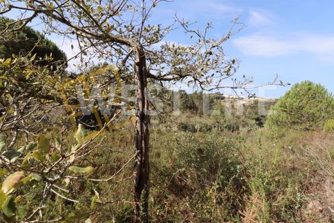Helårsgrund i Mafra, Lisbon, Mafra - € 40.000 | Ref: 4198WT - foto 6
