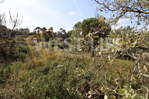 Helårsgrund i Mafra, Lisbon, Mafra - € 40.000 | Ref: 4198WT - foto 7