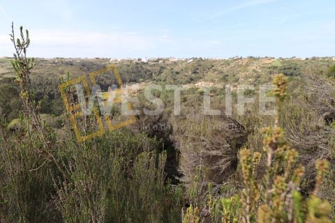 Helårsgrund i Mafra, Lisbon, Mafra - € 40.000 | Ref: 4198WT - foto 8