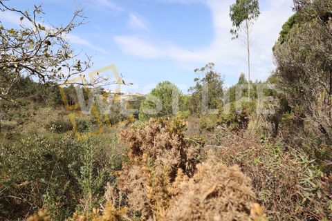Helårsgrund i Mafra, Lisbon, Mafra - € 40.000 | Ref: 4198WT - foto 9