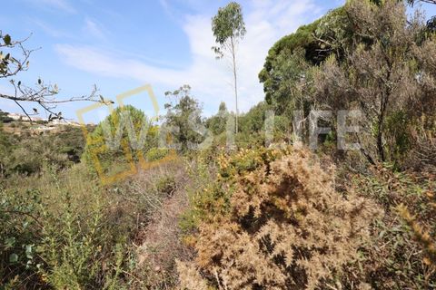 Helårsgrund i Mafra, Lisbon, Mafra - € 40.000 | Ref: 4198WT - foto 10