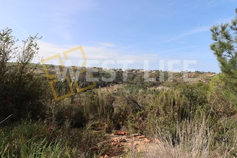 Helårsgrund i Mafra, Lisbon, Mafra - € 40.000 | Ref: 4198WT - foto 11