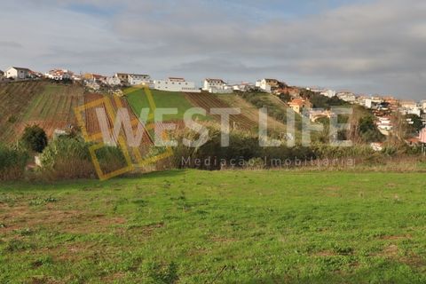 Tomt i Alenquer, Lisbon, Alenquer - € 120 000 | Ref: 4985WE - foto 3